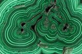 Polished Malachite Slab - Congo #94491-1